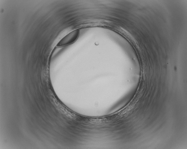 X0000068271378200605191817