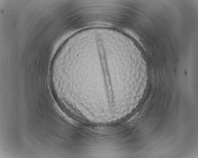 X0000068271379200605191817