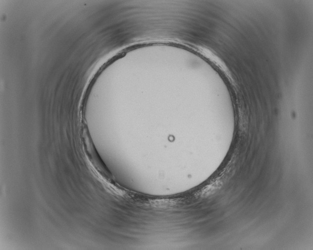 X0000068271380200605191817