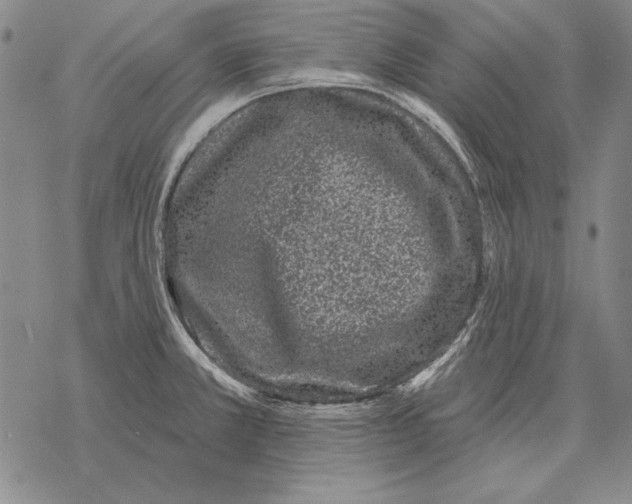 X0000068271381200605191817