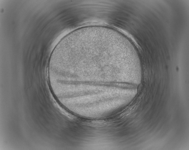 X0000068271383200605191817