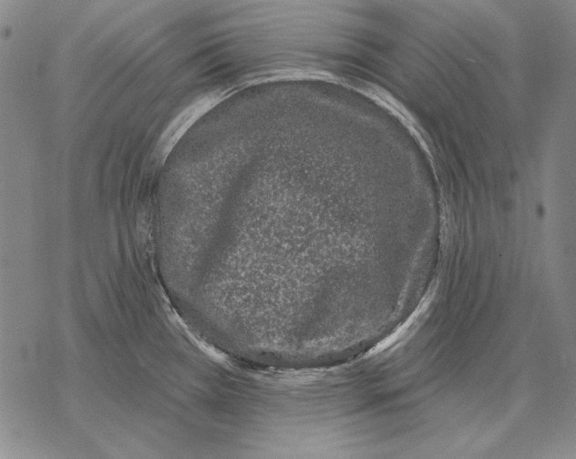 X0000068271385200605191817