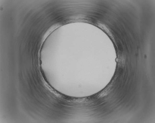 X0000068271386200605191817