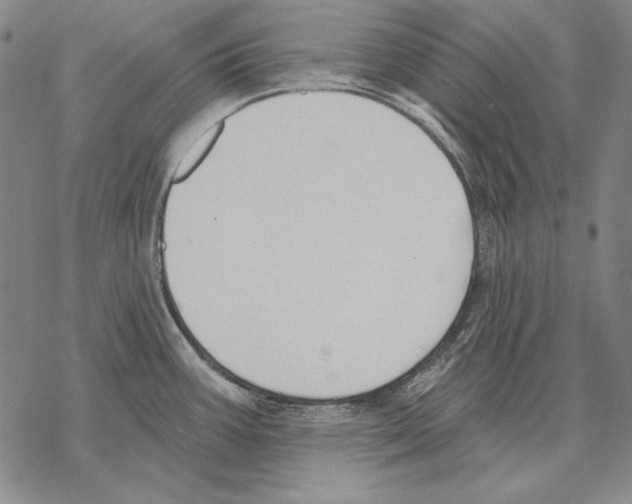 X0000068271387200605191817