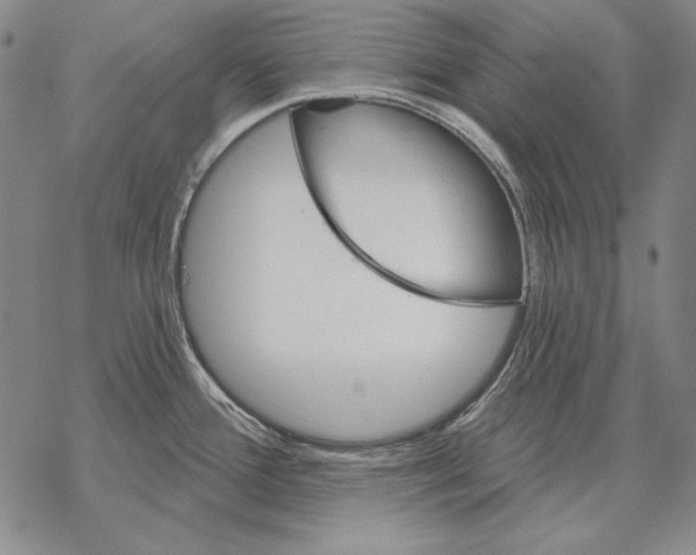 X0000068271388200605191817