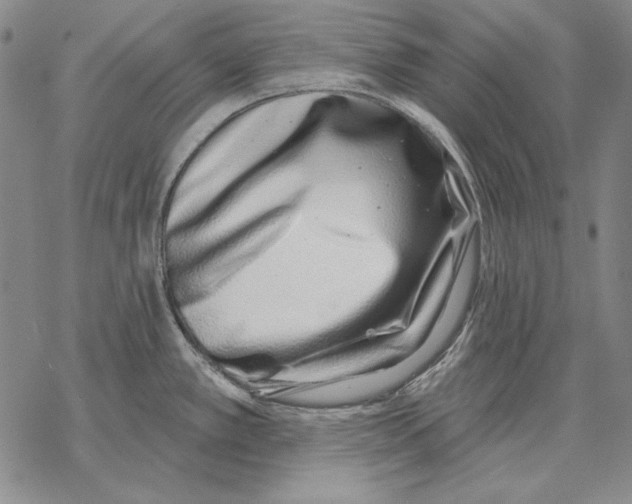 X0000068271389200605191817