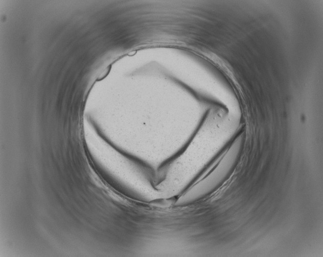 X0000068271390200605191817