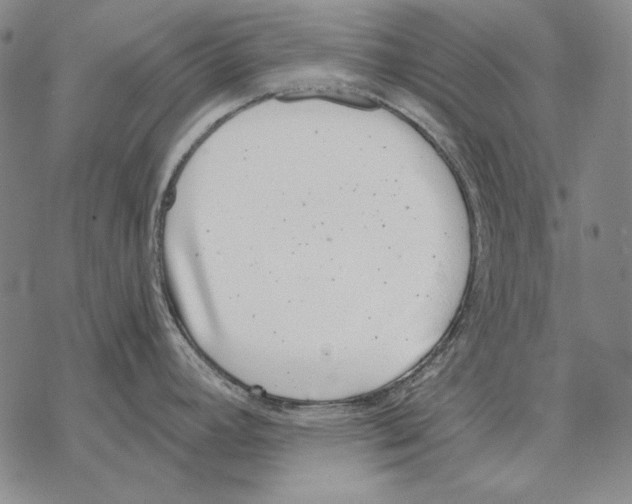 X0000068271392200605191817