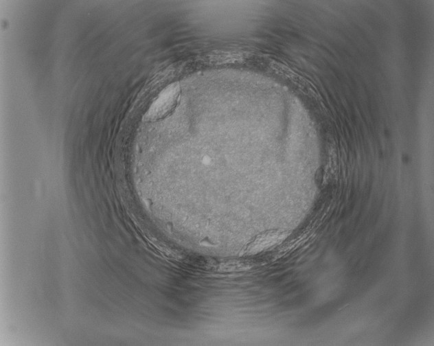 X0000068271393200605191816