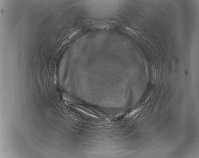 X0000068271394200605191816