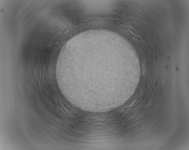 X0000068271395200605191816