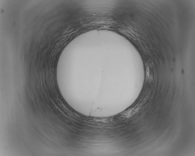 X0000068271396200605191816