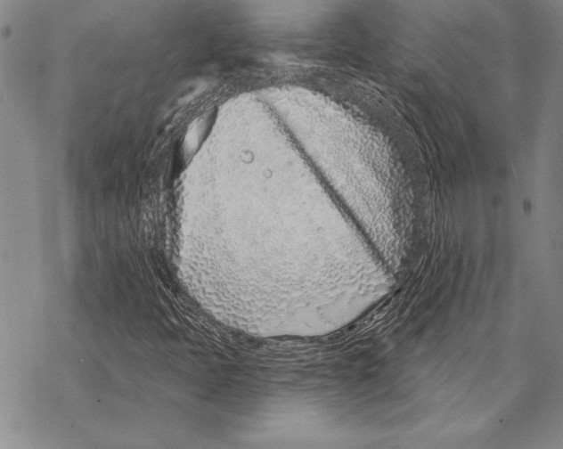 X0000068271397200605191816