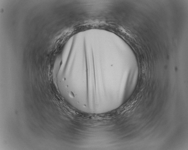 X0000068271398200605191816