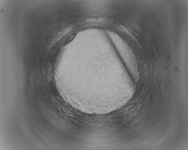 X0000068271399200605191816