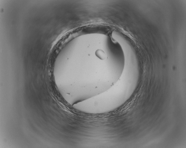 X0000068271400200605191816