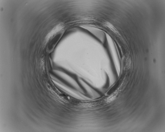 X0000068271402200605191816