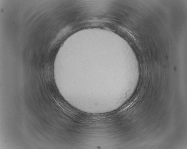 X0000068271403200605191816