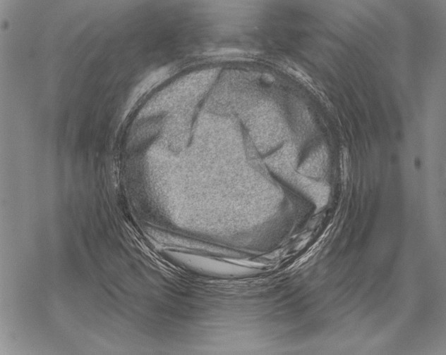 X0000068271405200605191816