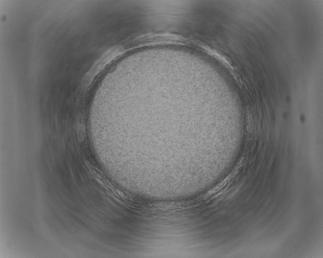 X0000068271407200605191816