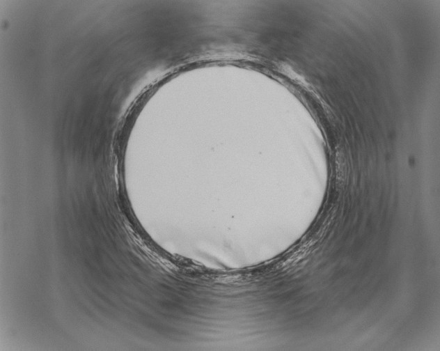 X0000068271408200605191816