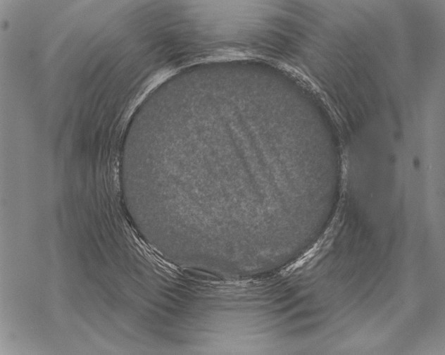 X0000068271409200605191816