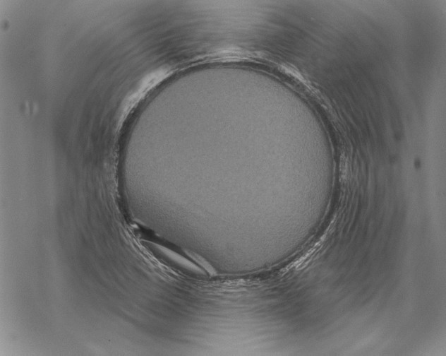 X0000068271410200605191816