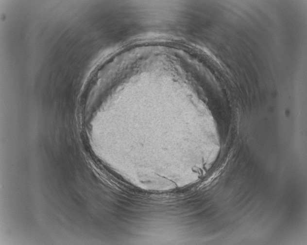 X0000068271413200605191816