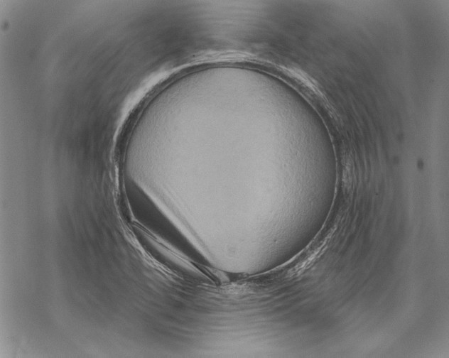 X0000068271414200605191816