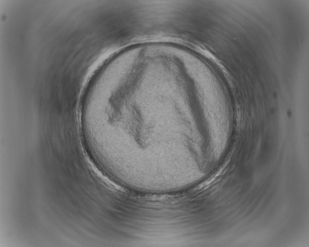 X0000068271416200605191816