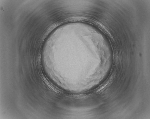 X0000068271417200605191816