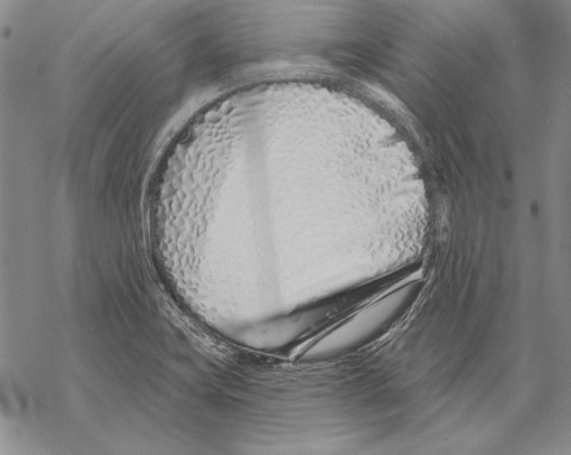 X0000068271419200605191816