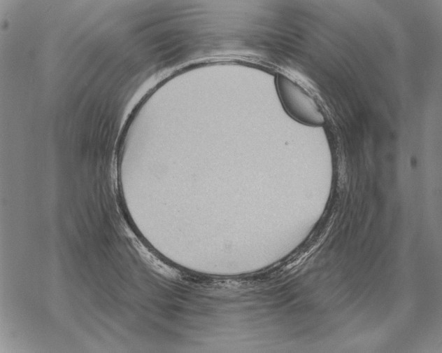 X0000068271420200605191816