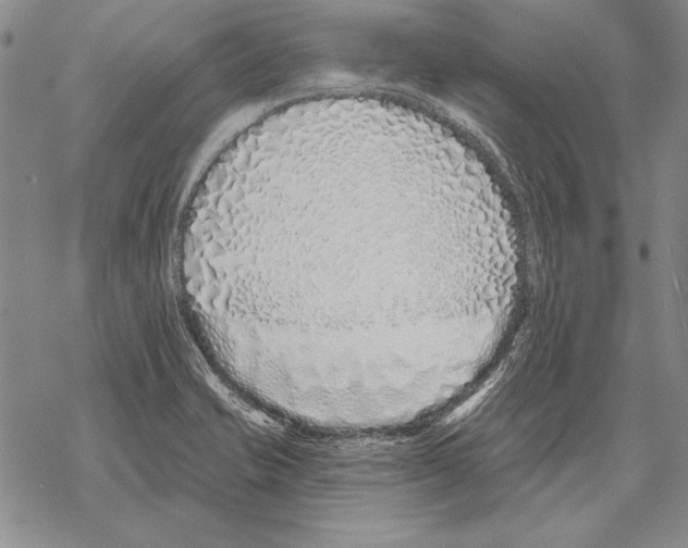 X0000068271421200605191816