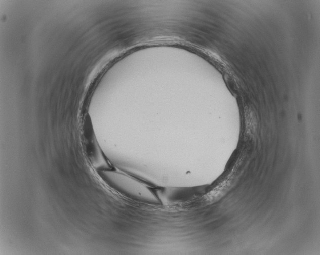 X0000068271422200605191816