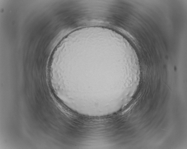 X0000068271423200605191817