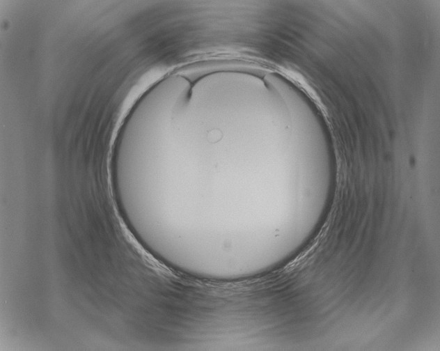 X0000068271424200605191817