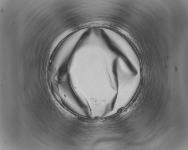 X0000068271426200605191817