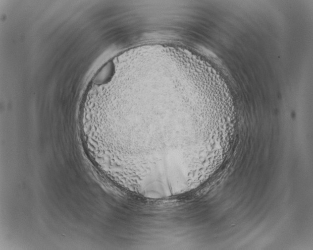 X0000068271427200605191817