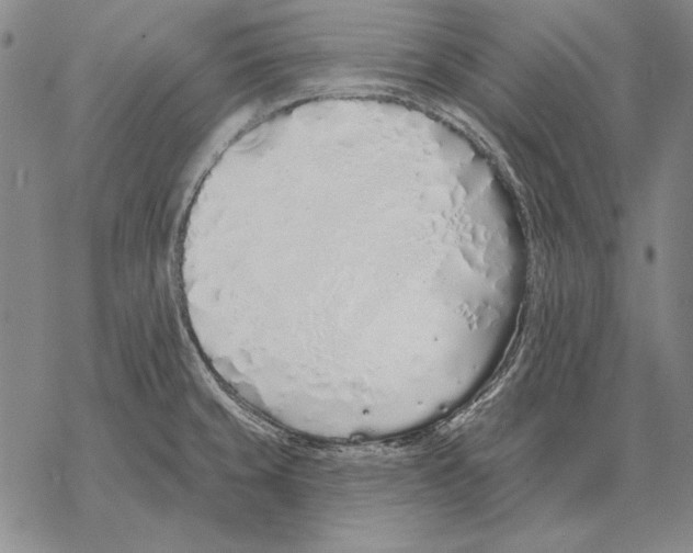 X0000068271429200605191817