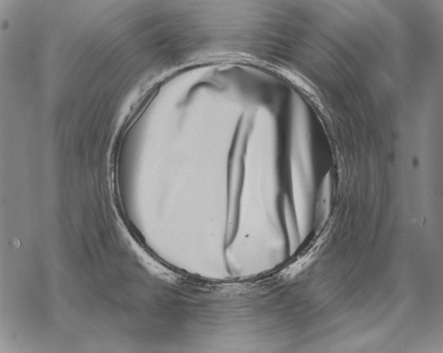 X0000068271430200605191817