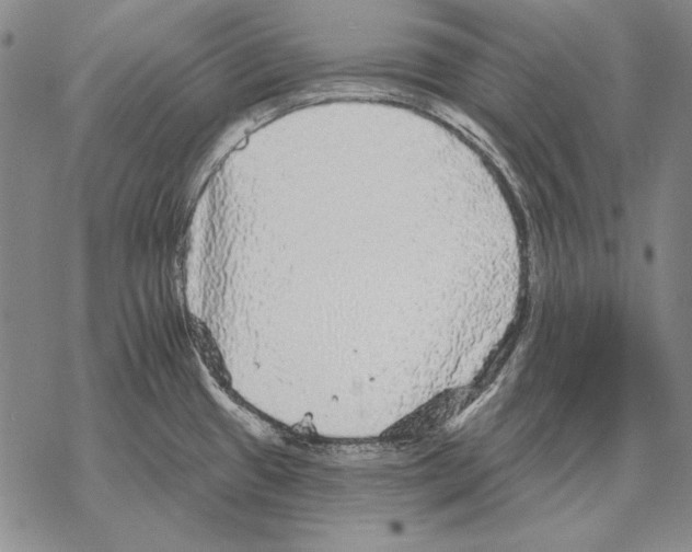 X0000068271433200605191817