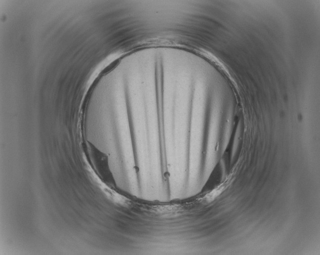 X0000068271434200605191817