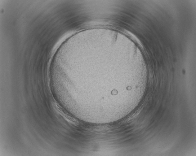 X0000068271435200605191817