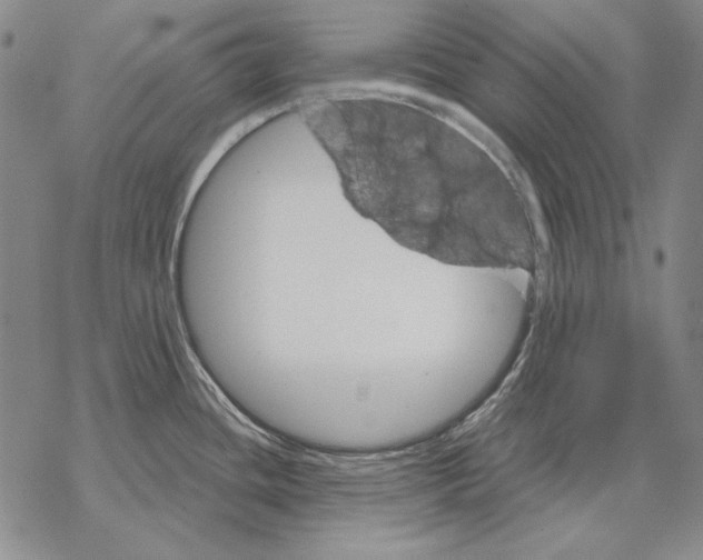 X0000068271436200605191817