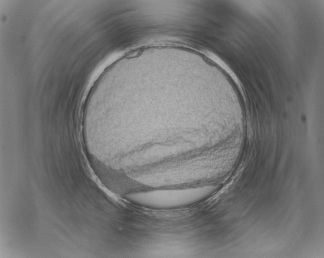 X0000068271437200605191817