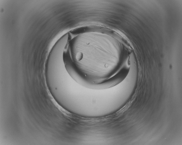 X0000068271438200605191817