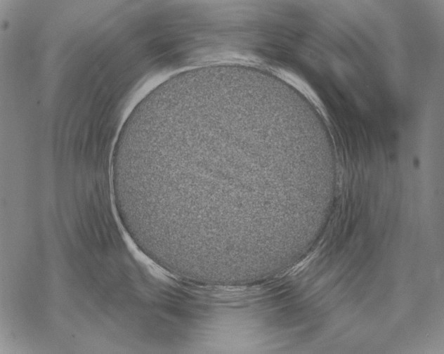 X0000068271439200605191817