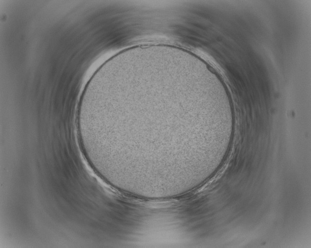 X0000068271440200605191817