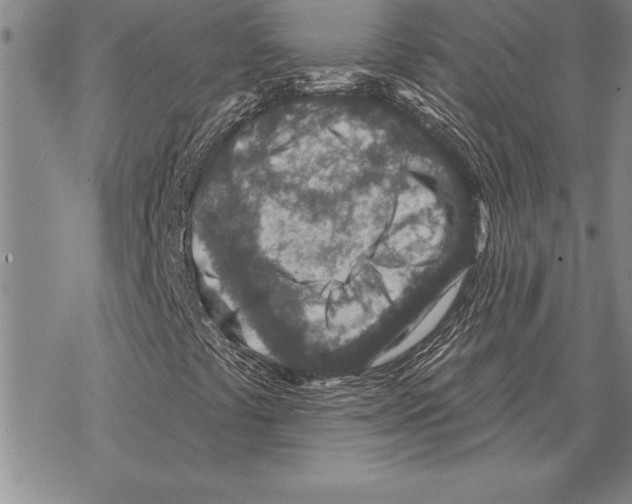 X0000068271441200605191816